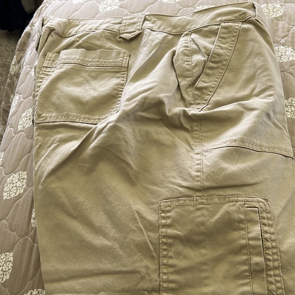 Lane Bryant ankle/crop pants slightly worn - Picture 2 of 2